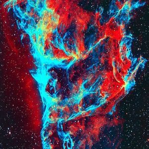 Meet your Posher, Quinton